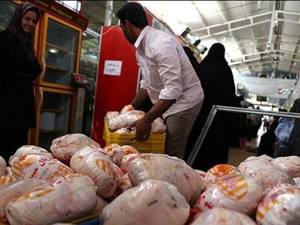 عرضه گوشت مرغ با نرخ مصوب در البرز